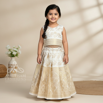 Ivory-white base with premium Banarasi weaving and embroidery Paavadai Sattai