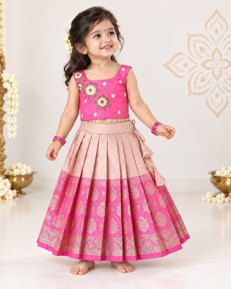 VAMIKA - Beautiful pink crop top & blush-pink Banarasi skirt