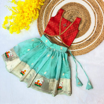 Pastel Blue Soft Organza Skirt with Red Brocade Top