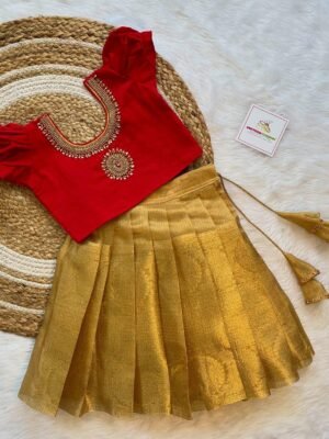 Gold Tissue Silk Skirt & Red Rawsilk Aariwork Top (Pre Booking)