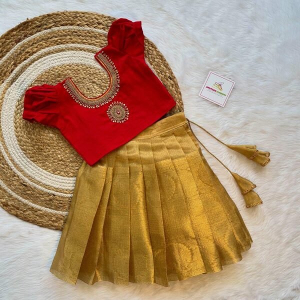 Gold Tissue Silk Skirt & Red Rawsilk Aariwork Top (Pre Booking)