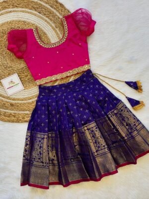 Bluish Voilet Banarasi Skirt(Long Border) & Pink Net Sleeves Silk Top - (Ready To Dispatch)