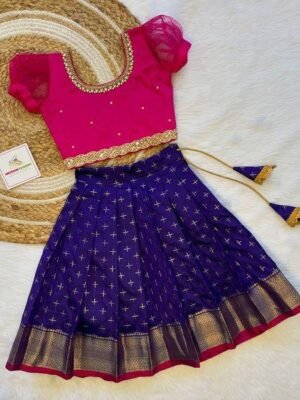 Bluish Voilet Banarasi Skirt(Short Border) & Pink Net Sleeves Silk Top - (Ready to Dispatch)