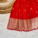 Red Color Paithani Skirt & Green Color Raw Silk Top (Pre Booking)
