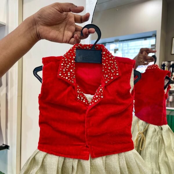 Silver Tissue Silk Frock and Red Velvet Shirt (Pre Booking)