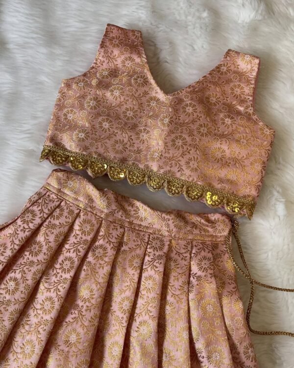 Banarasi weave Pattu Lehenga Set - Blushing Peach (Pre Booking)