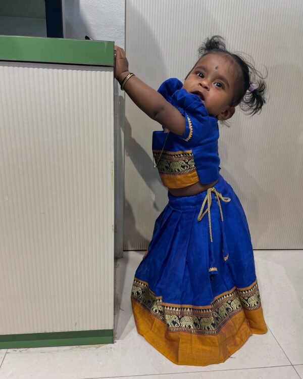 SUMMER EDITS - Royal Blue Narayanpet Pure Handloom Cotton Paavadai and Sattai (Ready to Dispatch)