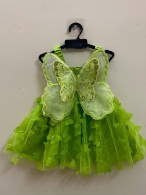 Light Green Butterfly Net Frock - Ready to Dispatch