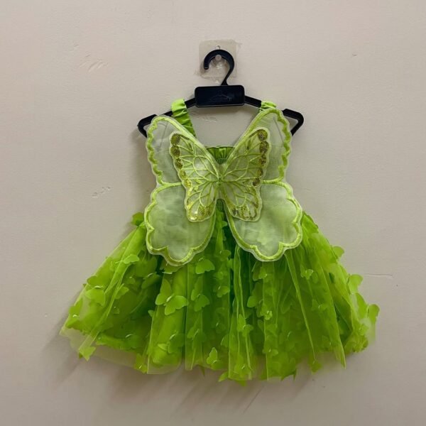 Light Green Butterfly Net Frock - Ready to Dispatch