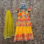 Multi Color Sharara Set - Tara (Ready to Dispatch)