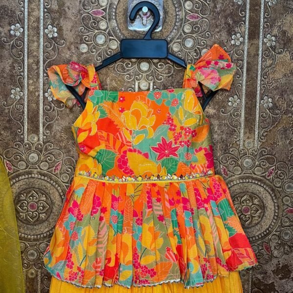Multi Color Sharara Set - Tara (Ready to Dispatch)