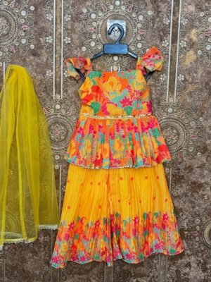 Multi Color Sharara Set - Tara (Ready to Dispatch)