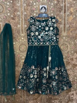 Ramar Green Embroidery Lehenga Set - (Ready to Dispatch)
