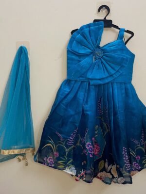 Blue Organza a