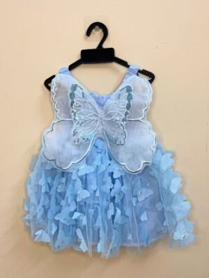 Light Blue Butterfly Net Frock - Ready to Dispatch